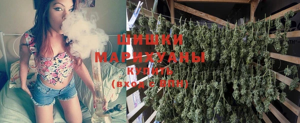 бутират Алзамай