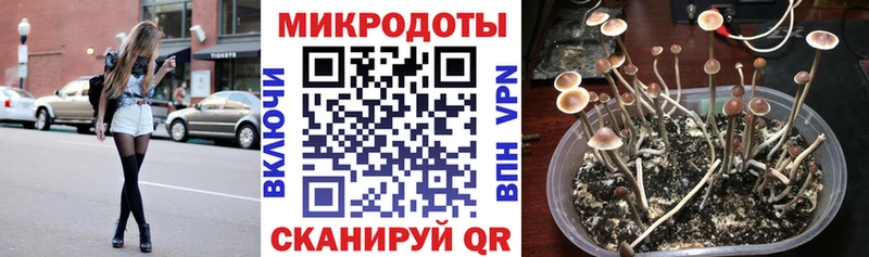 Галлюциногенные грибы GOLDEN TEACHER  Гурьевск 