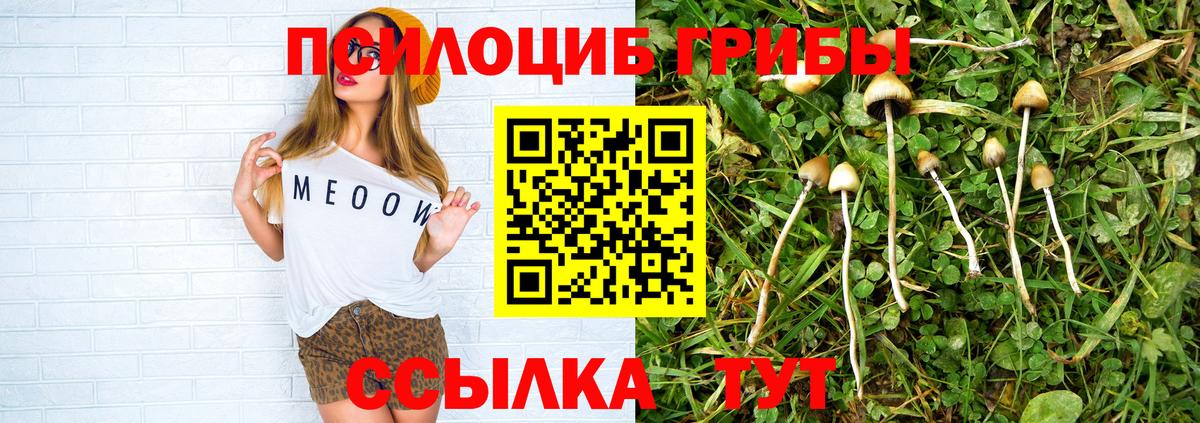 Псилоцибиновые грибы ЛСД Гурьевск