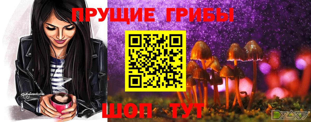 Гурьевск  Псилоцибиновые грибы ЛСД  Вход с VPN 